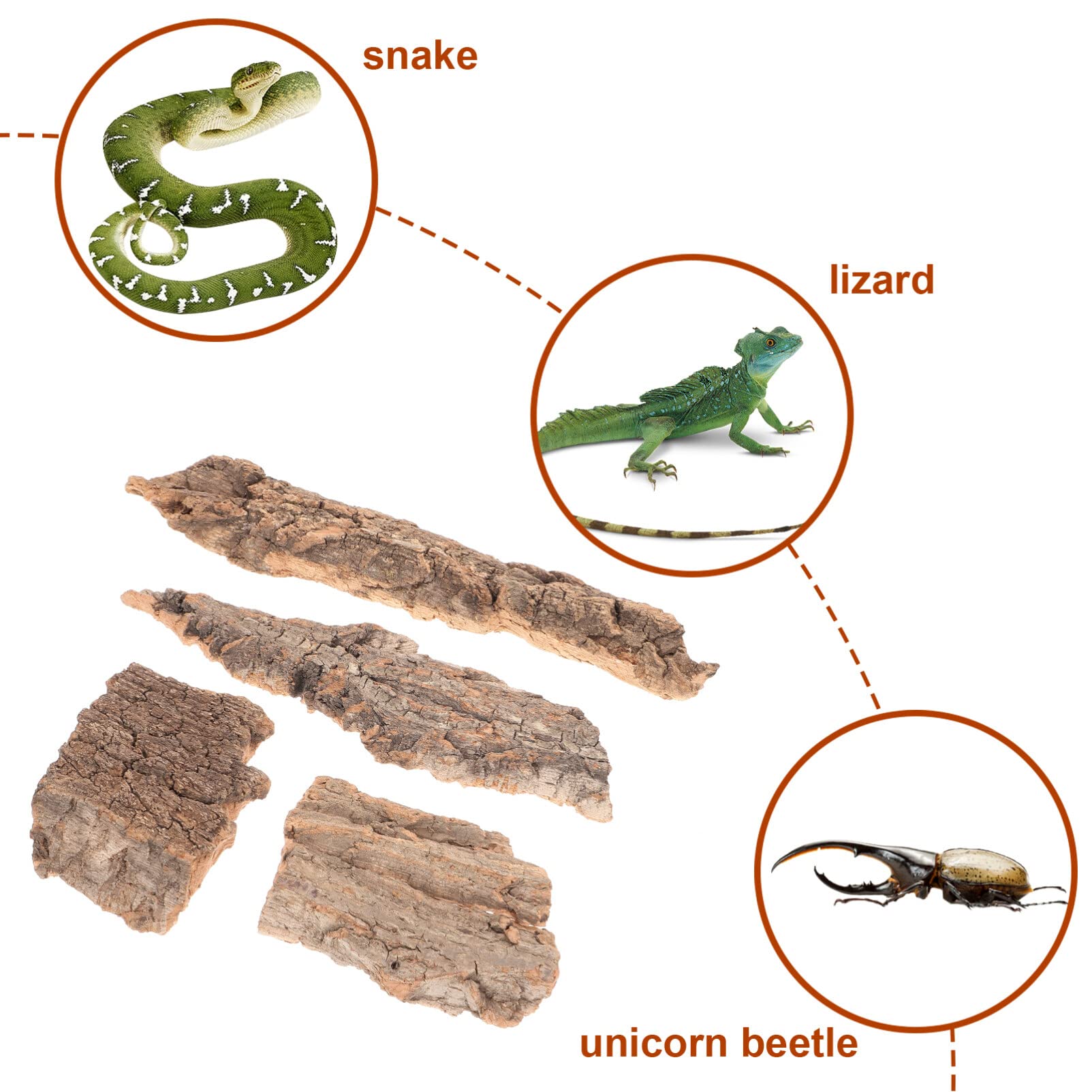 balacoo Terrarium Tree Bark: 16pcs Reptile Bark Decoration Natural Cork Bark Backdrop Reptile Tank Background Leopard Cork Bark - Tarantula Enclosure Accessories