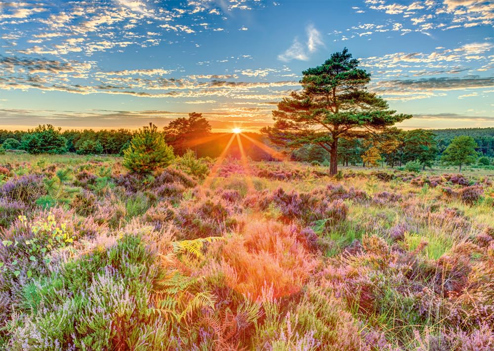 Schmidt Spiele 59768 Heath in the Sunset, 1000 Pieces Puzzle