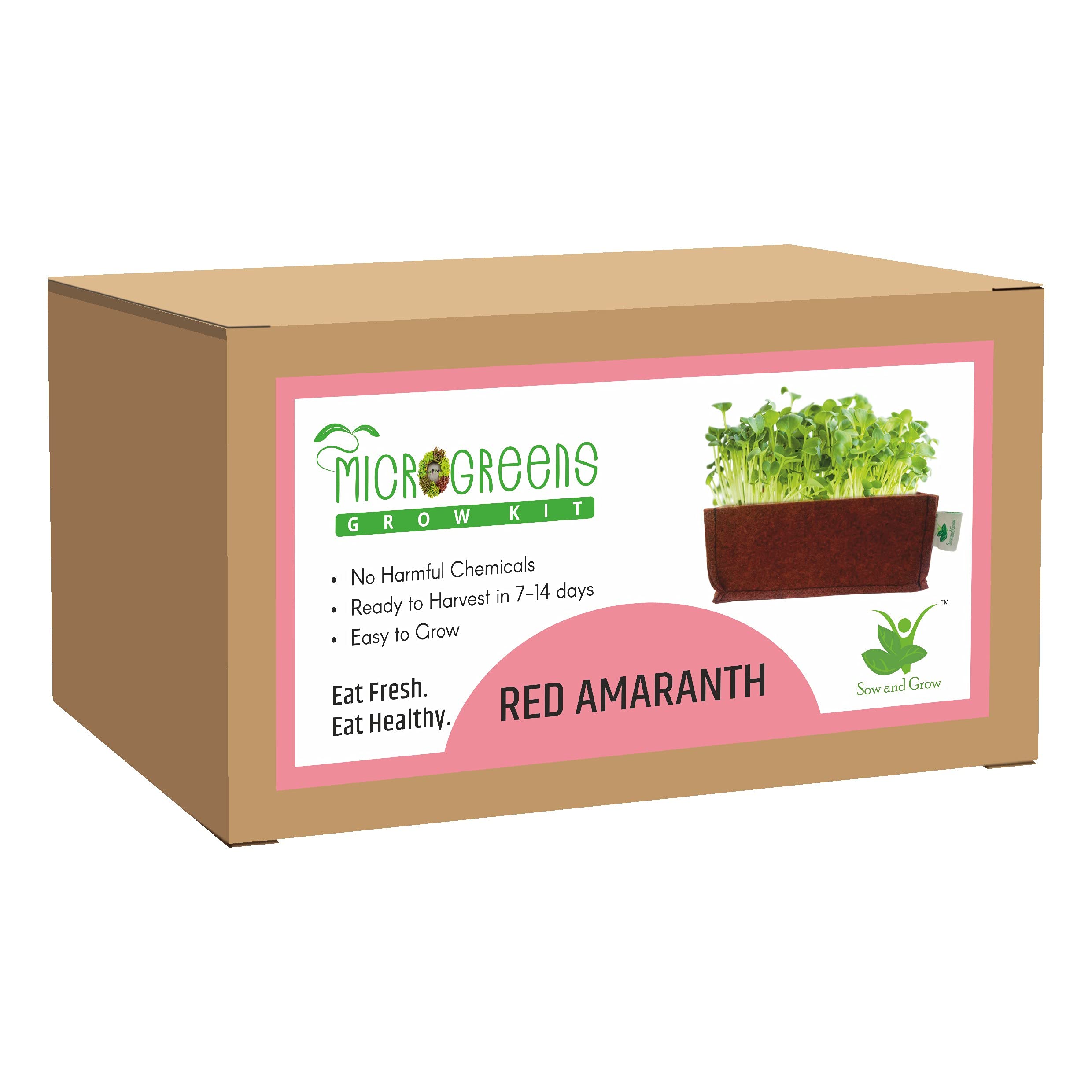 Sow and Grow Microgreens Grow Kit: Red Amaranth || Easy to Use Kit for Beginner Gardeners || Gardening Set to Grow at Home-image-48