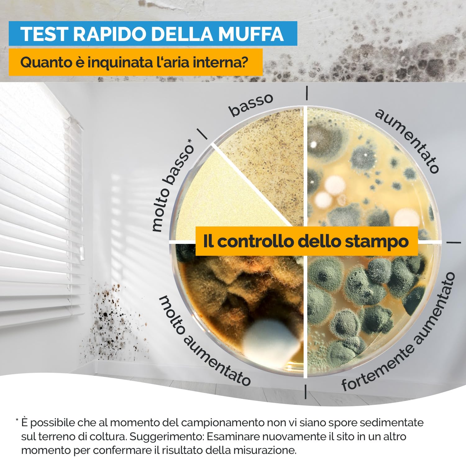 Test muffa airself multipack – kit con 12 terreni di coltura per analisi dell’aria interna e rilevamento delle spore in più ambienti