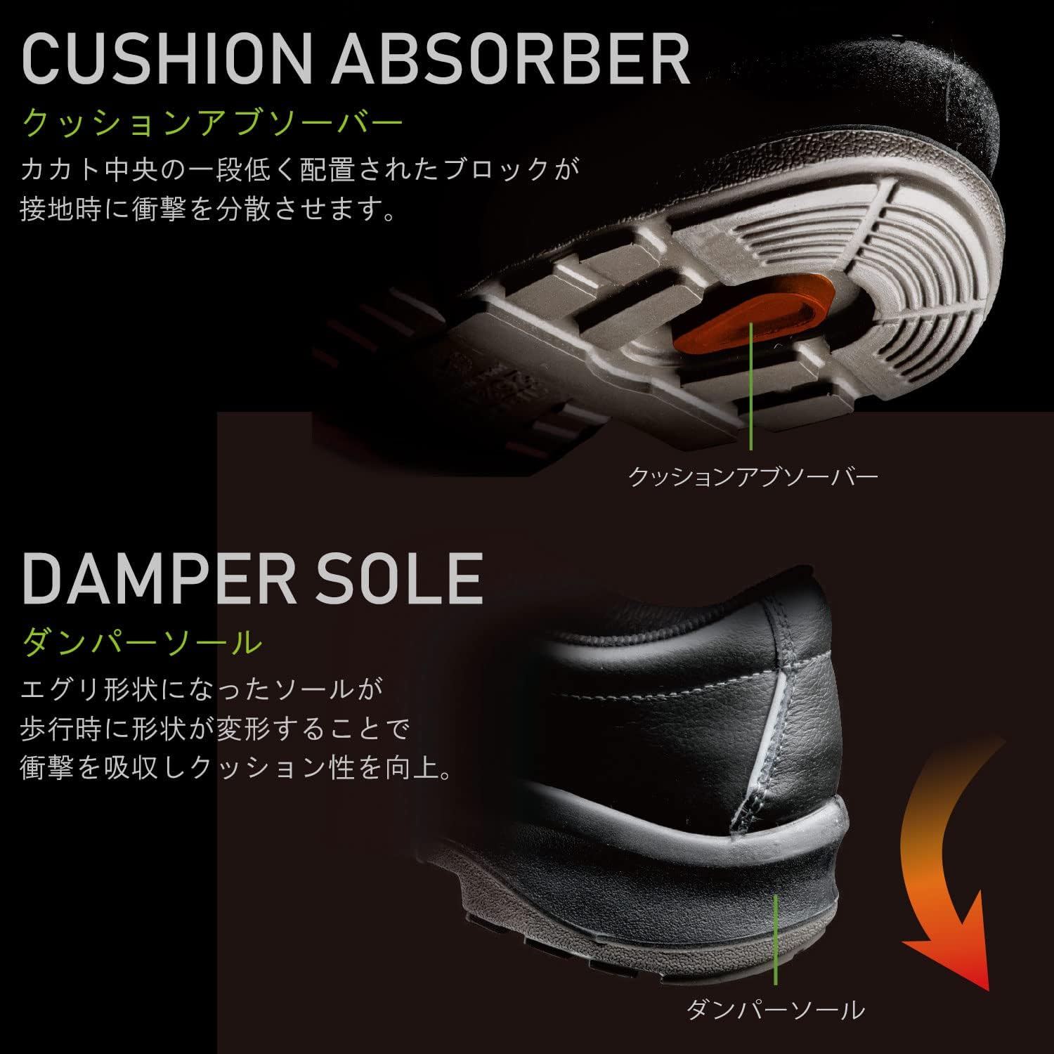 推定Persistent Capri Fig】 TFH C0078 挿木苗 TFH C0078 カプリ種