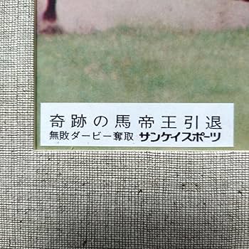 Amazon.co.jp: 競馬 トウカイテイオー 写真パネル 日本ダービー