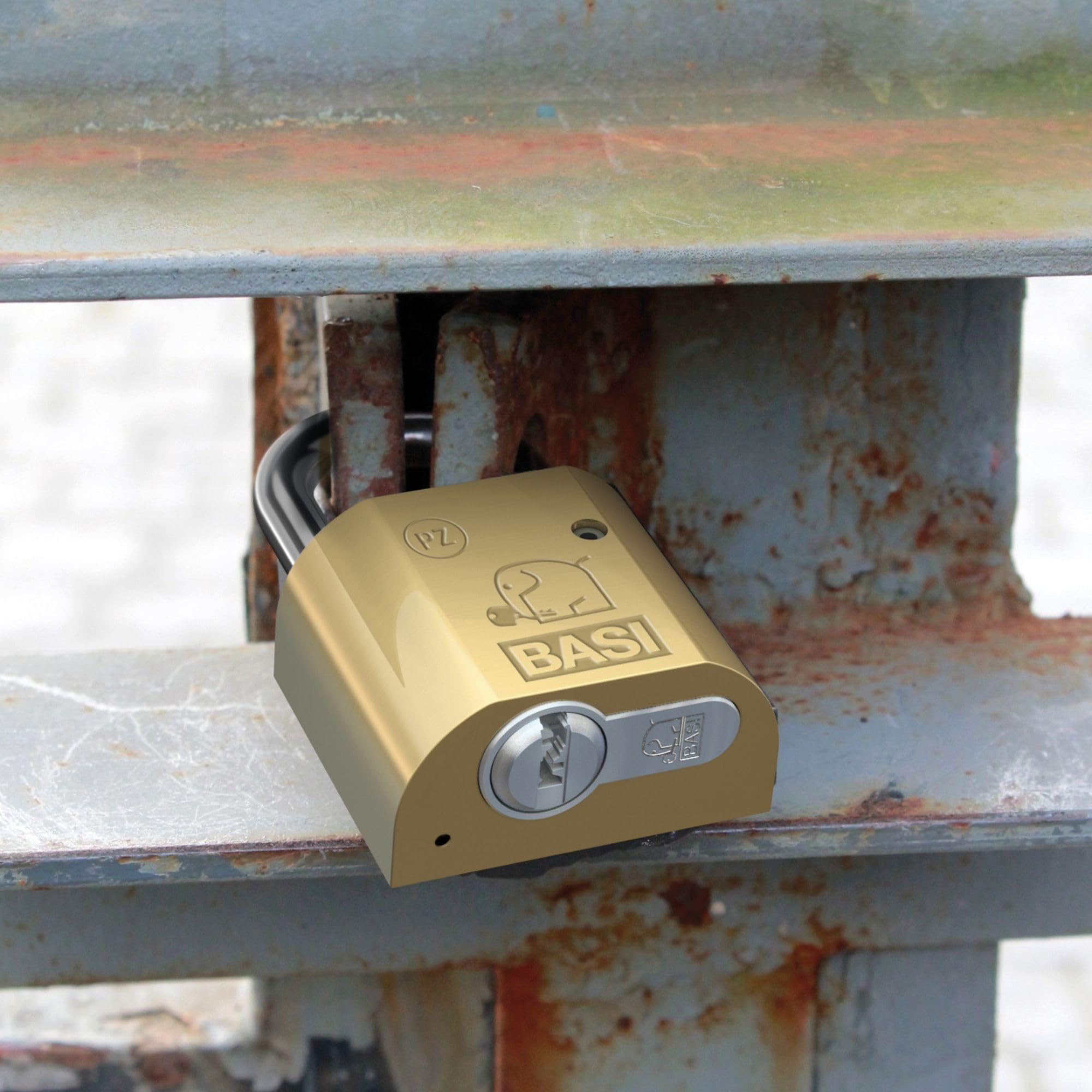 BASI Lucchetto per tenda in ottone, con cilindro di chiusura e 5 chiavi, profilo intercambiabile, 10/30 mm, altezza staffa: 40 mm, spessore staffa: 8 mm