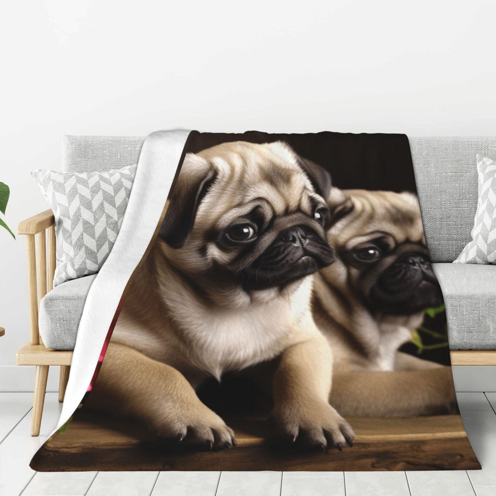 Puppys Pug Throw Blanket Plush Flannel Fleece Blanket, Soft Lightweight Cozy Blankets 60"X50" for Bed Couch Sofa Travel
