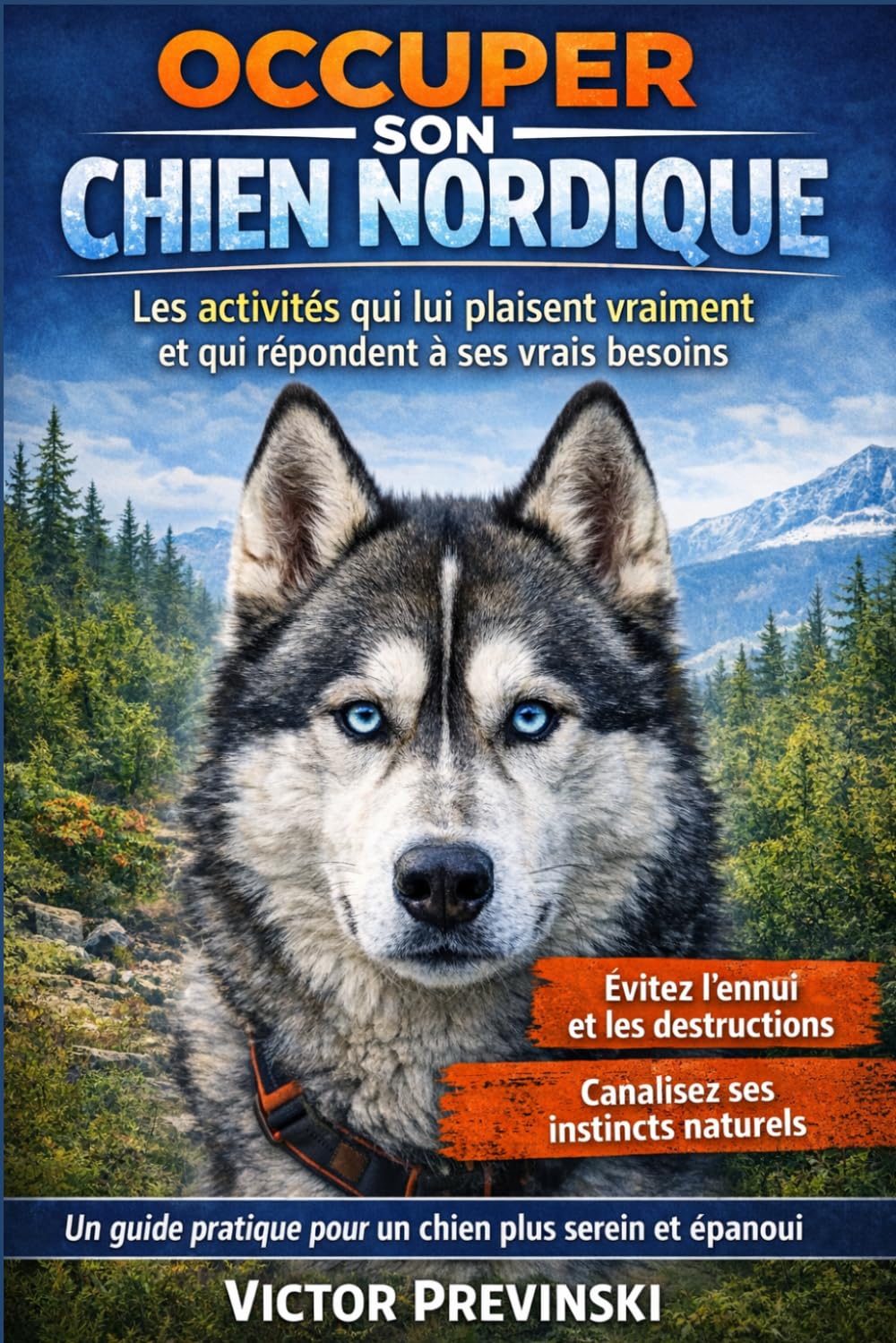 Occuper Son Chien Nordique: Les activités qui lui plaisent vraiment et qui répondent à ses vrais besoins