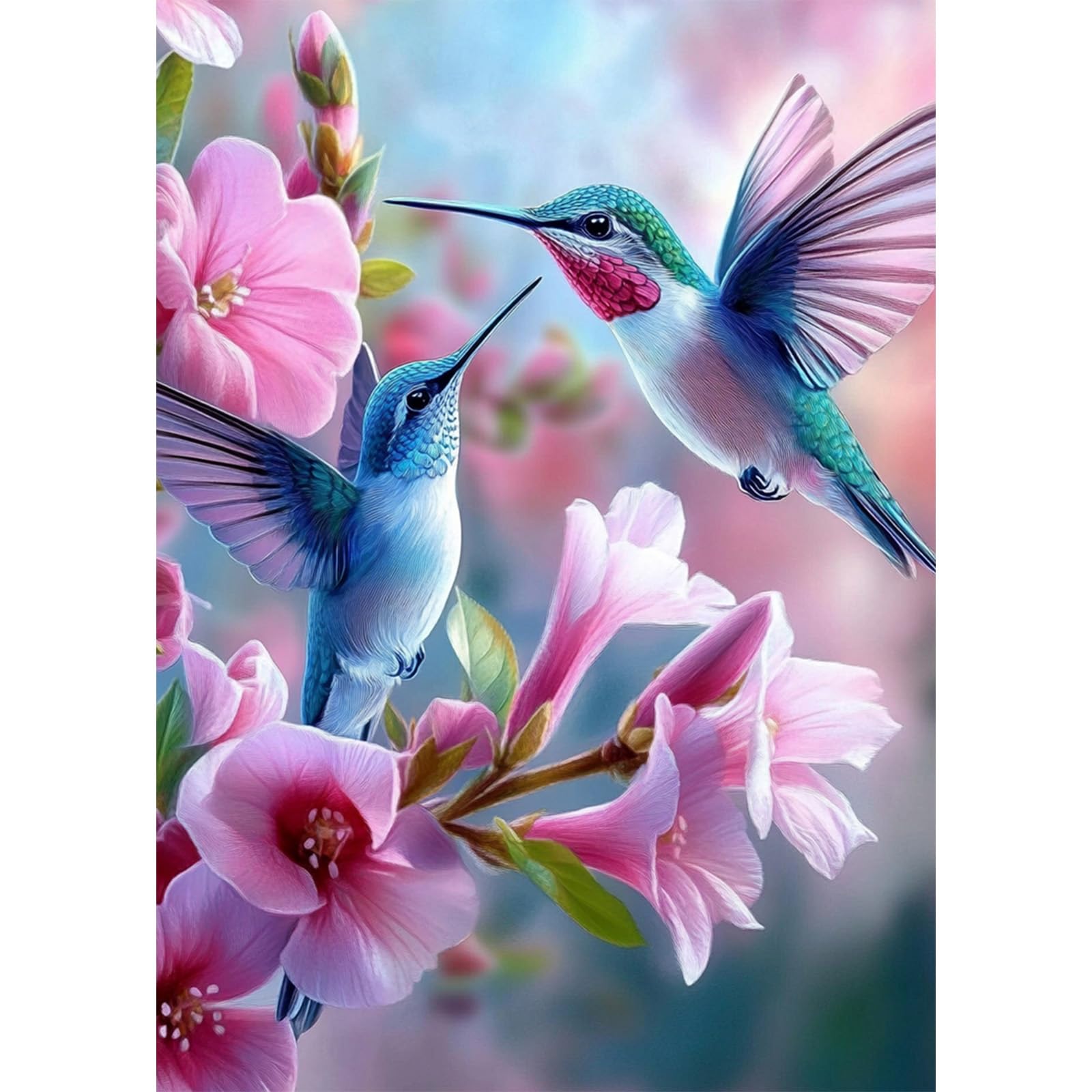 MEIYUDA 5D Hummingbirds Diamond Painting Kits for Adults, DIY