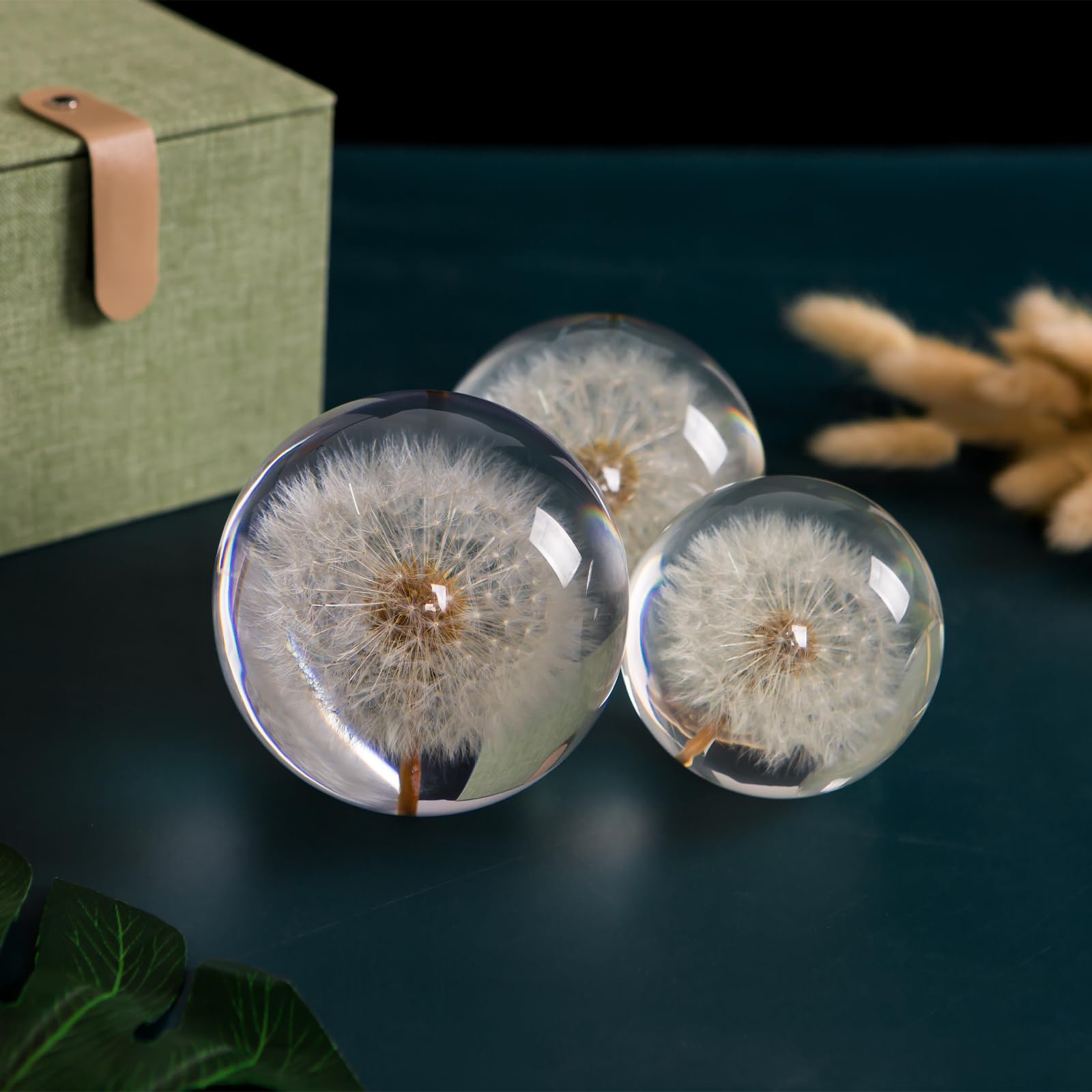 Briefbeschwerer Pusteblume Traumball Kristall Wunschball Einzigartiger Briefbeschwerer aus Pusteblume Geschenk für Frauen Männer (Mama, Papa, Lehrer), Geburtstag, Hochzeit, Valentinstag, Mutter (9 cm)
