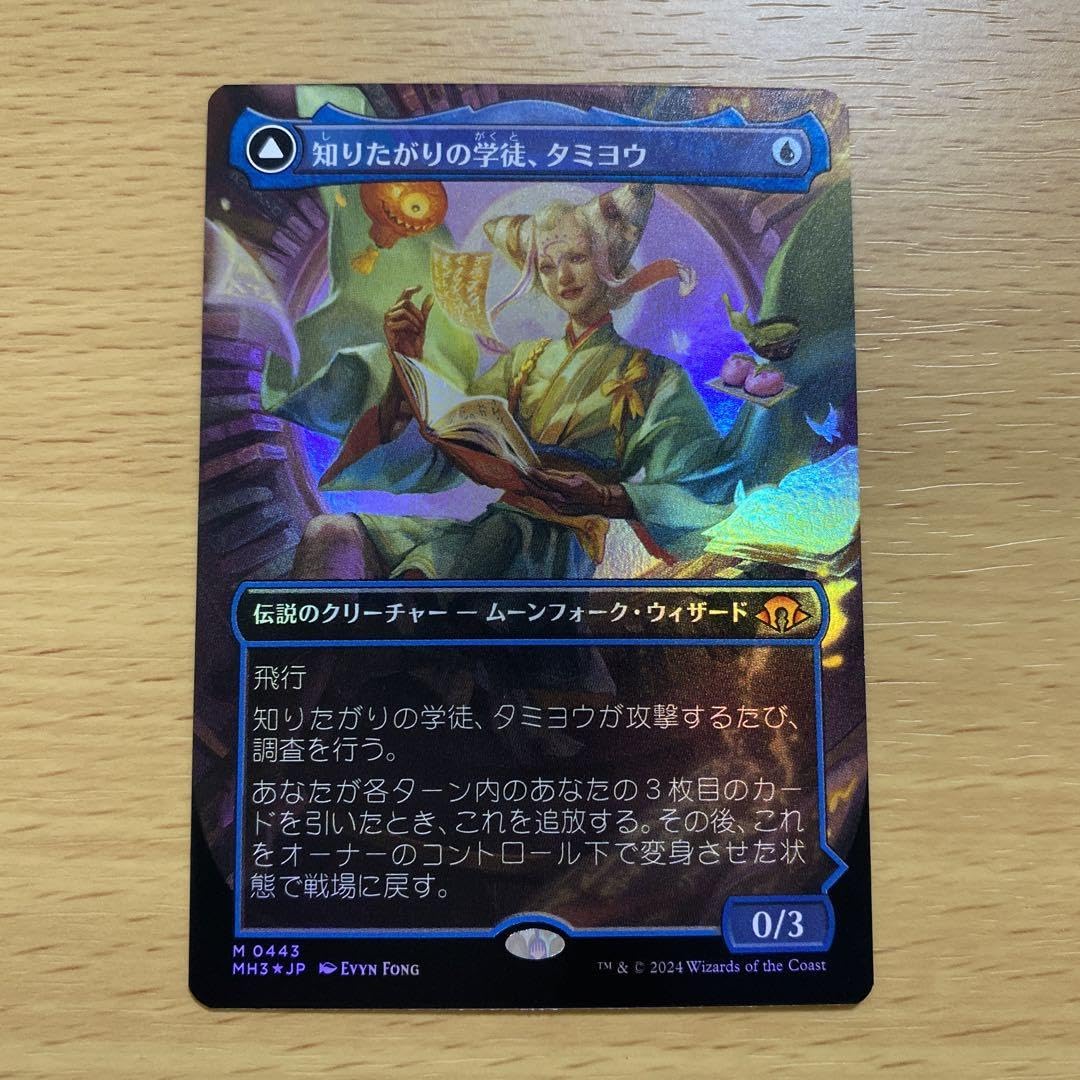 Amazon.co.jp: 知りたがりの学徒、タミヨウ ボーダーレス Foil モダン 
