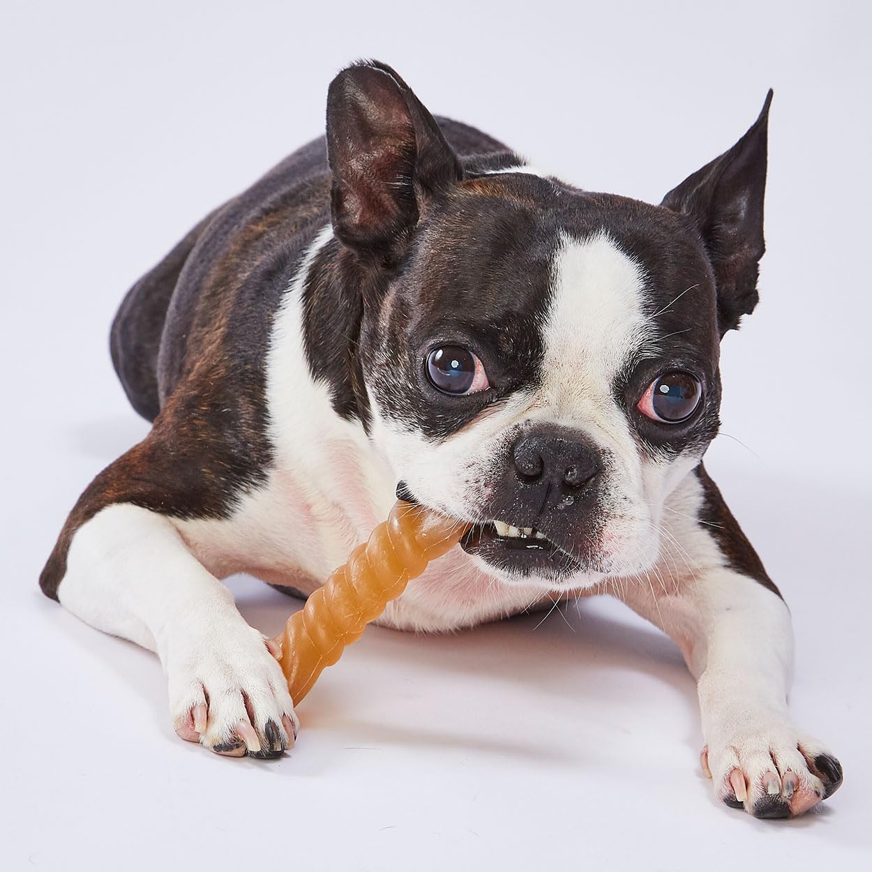 Amazon.co.jp: ペティオ (Petio) 犬用おもちゃ かんでるCORN ツイスト