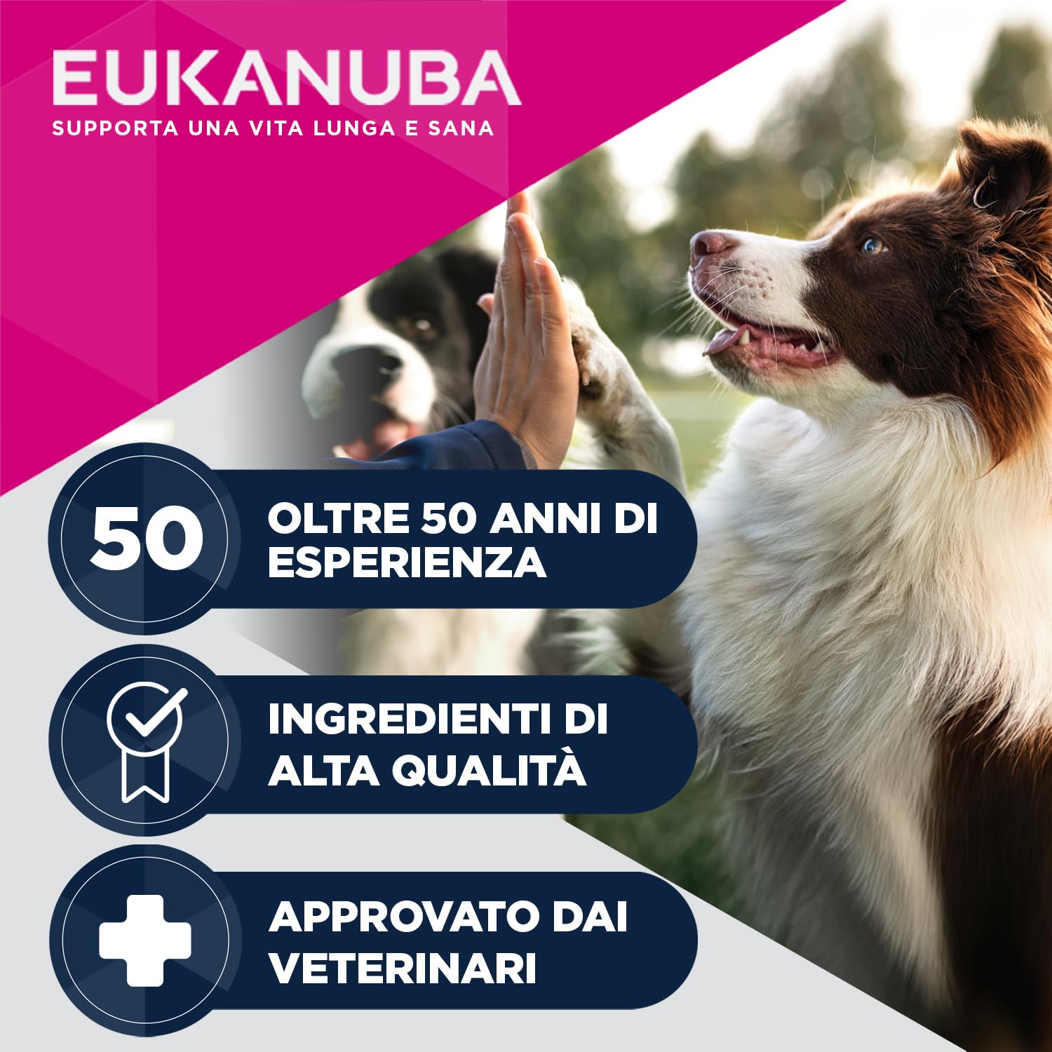 EUKANUBA Special Care cibo umido per cani adulti, Mono-Protein all’anatra 6 x 400 g