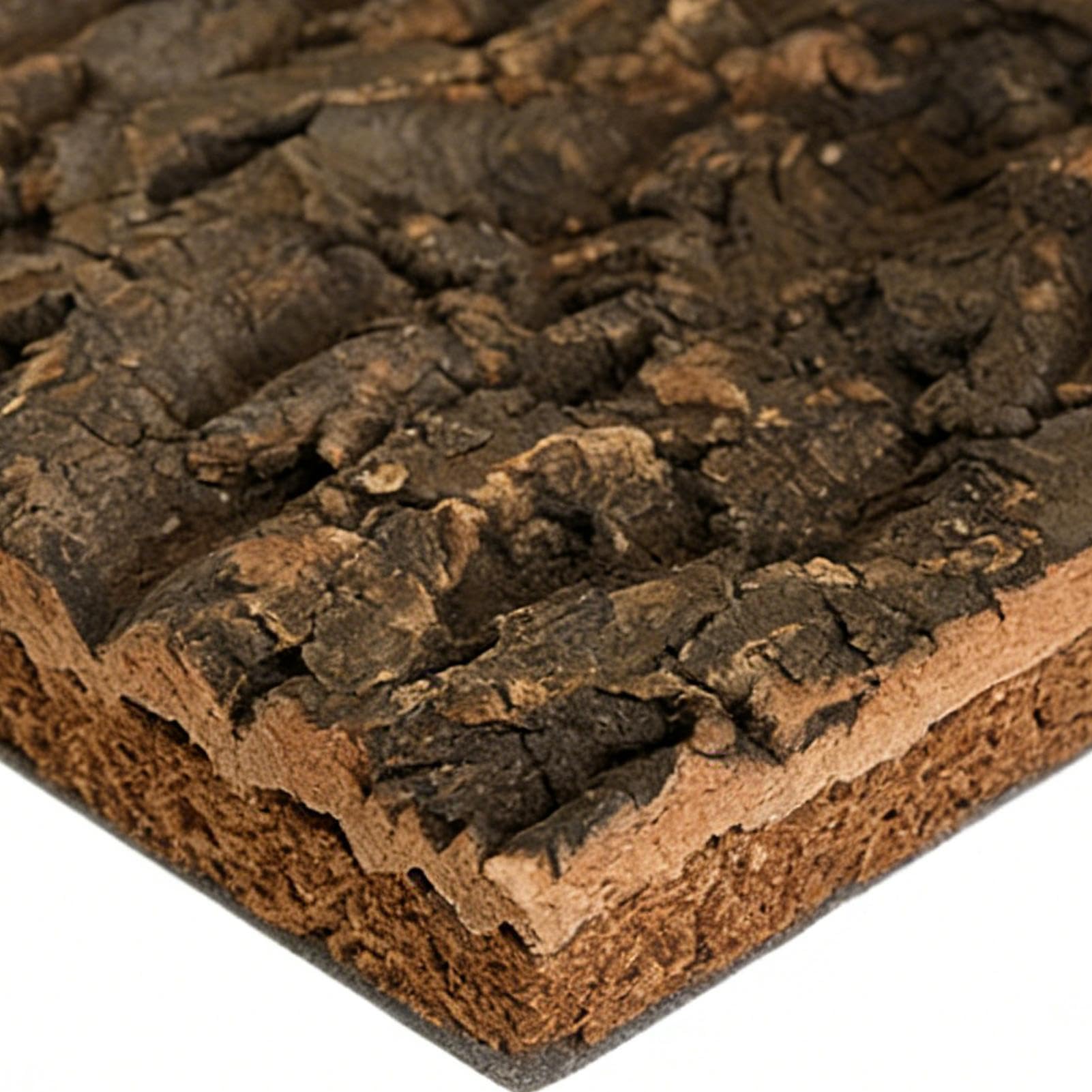Madera de corcho para reptiles, decoración de paisajismo para ejercicios de escalada, decoración de terrario natural, corteza de corcho, para serpiente, , camaleón, , tortuga, amantes de