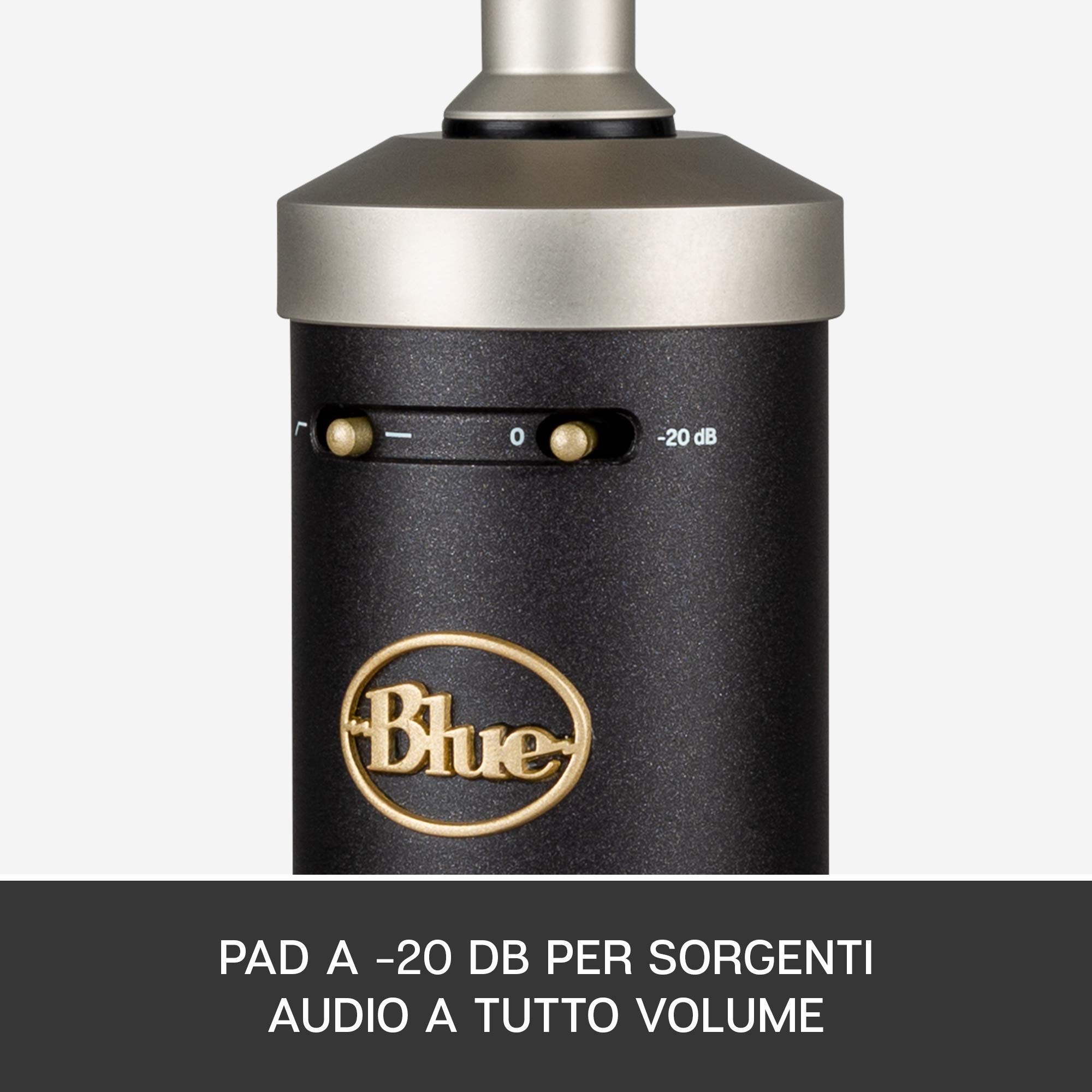 Blue Baby Bottle SL Microfono a Condensatore XLR | Per la Registrazione e lo Streaming, Capsula Cardioide a Membrana Grande, Shock Mount e Custodia Protettiva - Nero