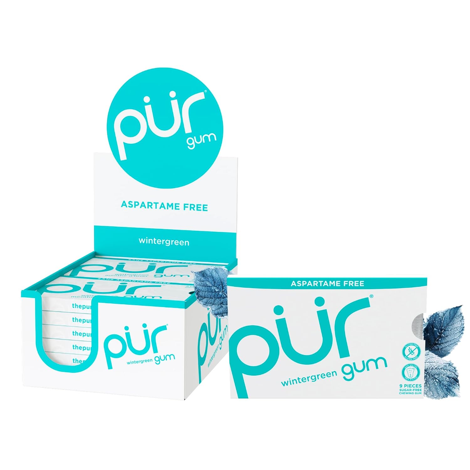 PUR Gum | Aspartame Free Chewing Gum | 100% Xylitol | Natural Peppermint Flavored Gum, 9 Pieces (Pack of 12)