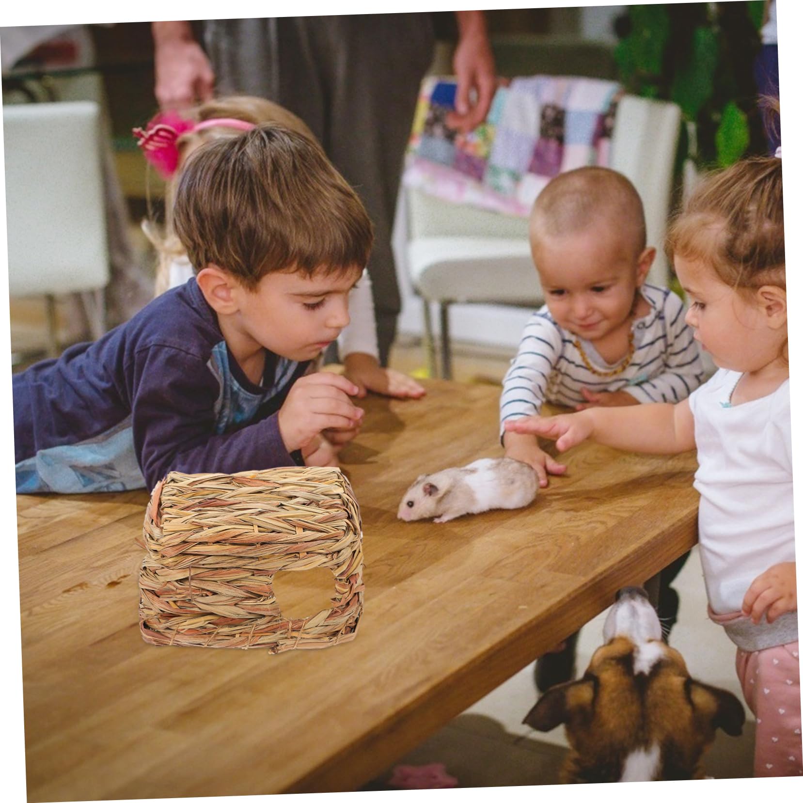 VANZACK 2pezzi Hamster Woven Hideout Rifugio Naturale Per Criceti e Piccoli Animali Domestici Gioco e Nido Compatto Per Esplorare e Nascondersi