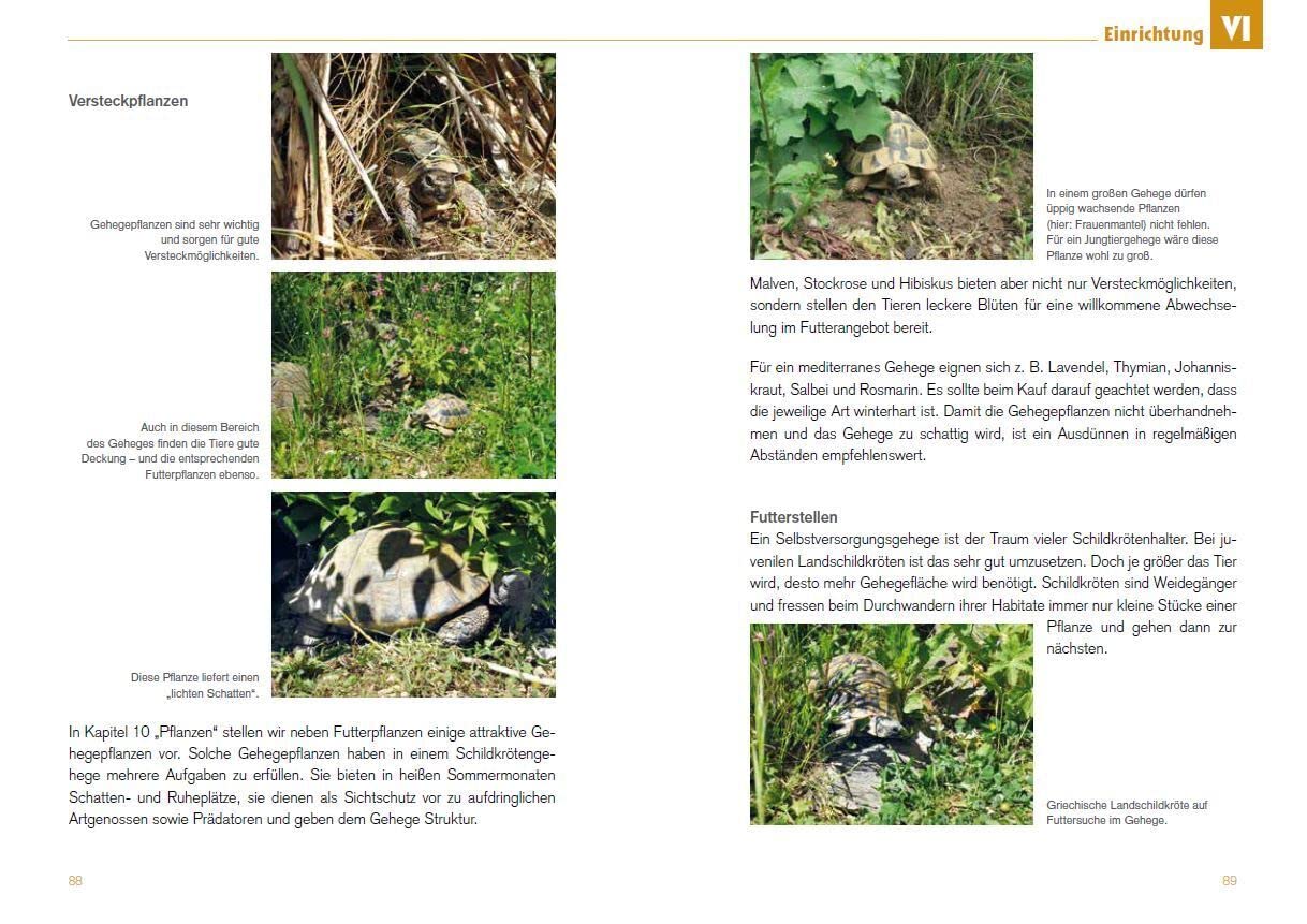 Freigehege für Europäische Landschildkröten: Ein Leitfaden für eine naturnahe Haltung im eigenen Garten (Ratgeber zur Haltung Europäischer Landschildkröten)