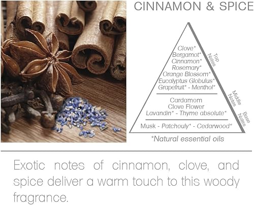 Miniatura 4 de Acqua Aroma Recambio de aceite difusor de varillas de canela y especias, 6.8 onzas líquidas (6.8 fl oz) contiene aceites esenciales hechos a mano