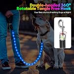 YFbrite 6FT Light up Dog Leash with 15 Flashing Modes - Super Bright LED Dog Leash for Small Medium Large Dogs - Type-c Rechargeable Dogs Leashes Light (Multi-Color, 6FT (180cm))