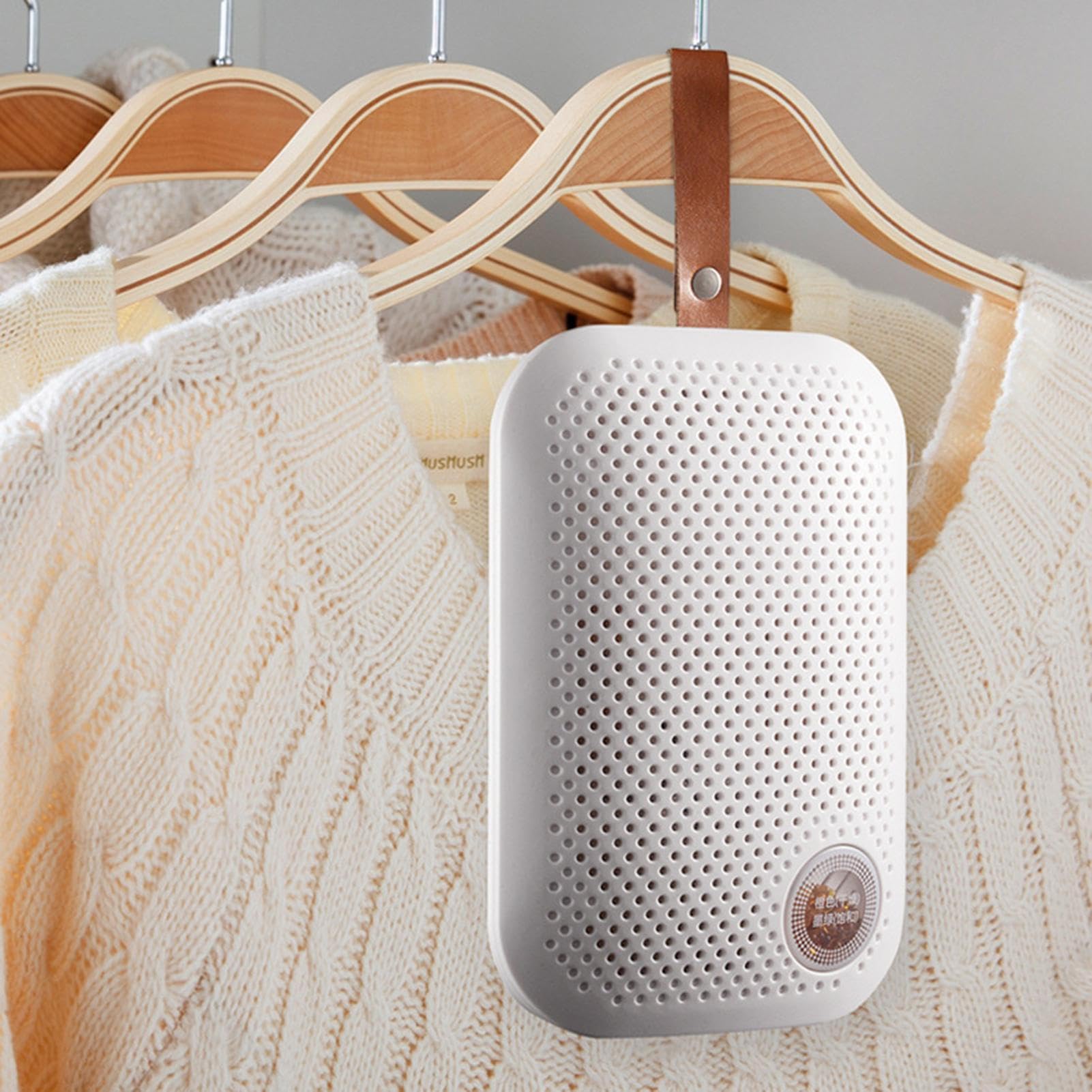 Deumidificatore Mini Assorbitore di Umidità | Portatile e Silenzioso con Cordoncino per Interni Armadio Guardaroba Soggiorno e Mobile