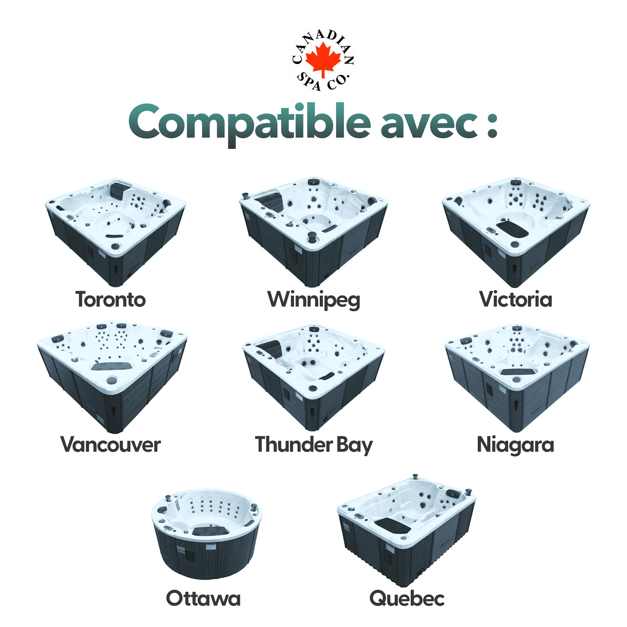 CANADIAN SPA CO. Glacier Filterset 2er Pack, 2X Glacier Silverstream Cartouches filtrantes et 2X Glacier préfiltre, avec ions d'argent, Whirlpool Filter Set