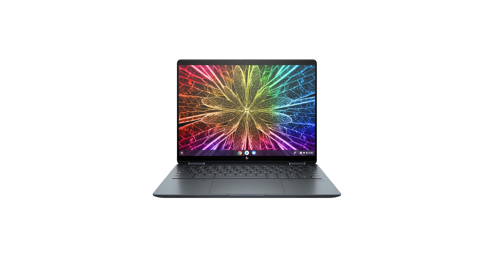 Amazon.com: HP Elite Dragonfly 13.5