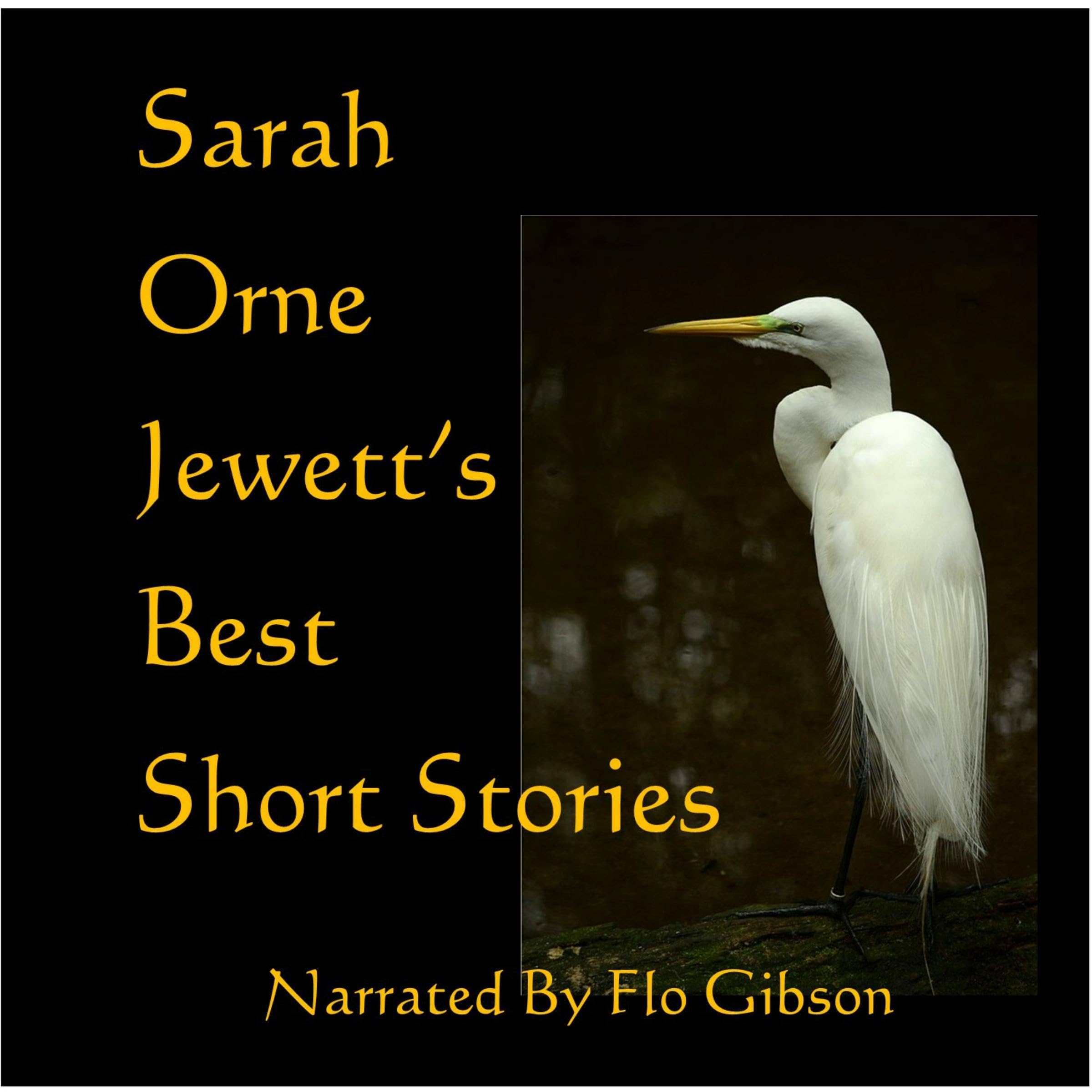 Sarah Orne Jewett's Best Short Stories