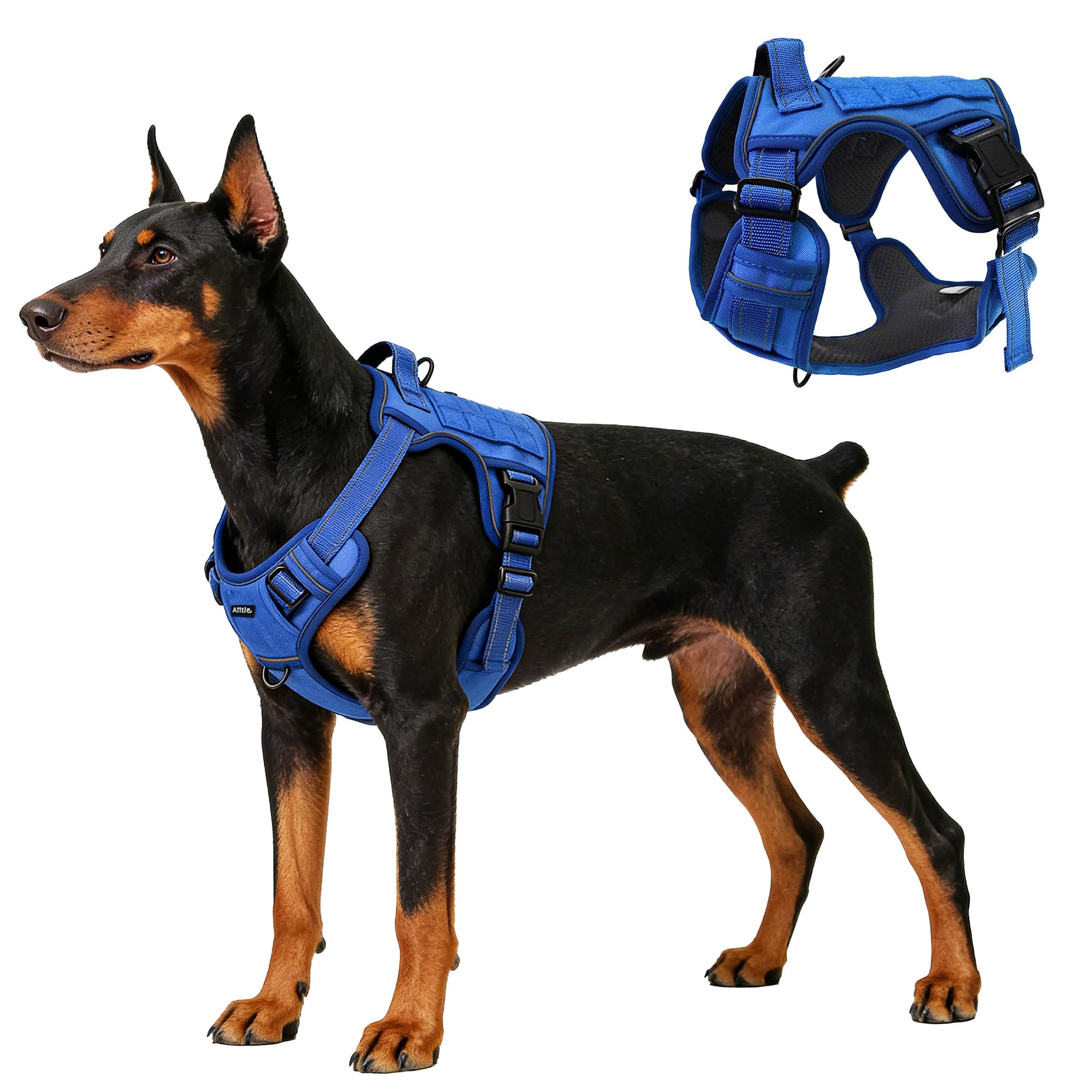 AIITLE Tactical Dog Harness for Large Dogs, No Pull Tactical Service Vest with Handle & PALS Webbing, Adjustable Reflective No-Choke Design, Dual Metal Leash Clips for Training Walking, Blue, L