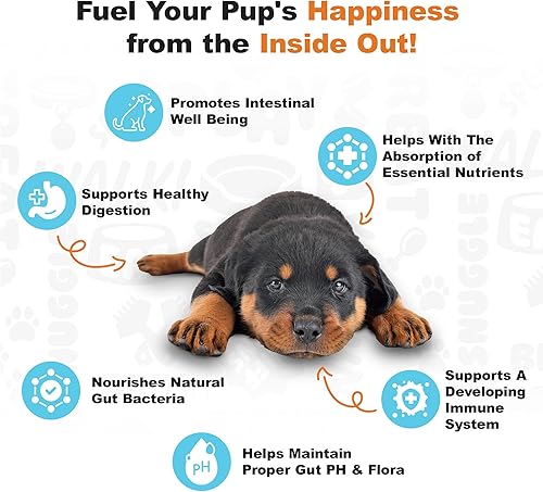 Miniatura 3 de Doggie Dailies Probiótico para cachorros  Probióticos para cachorros con enzimas digestivas, promueve la salud digestiva, apoya el sistema