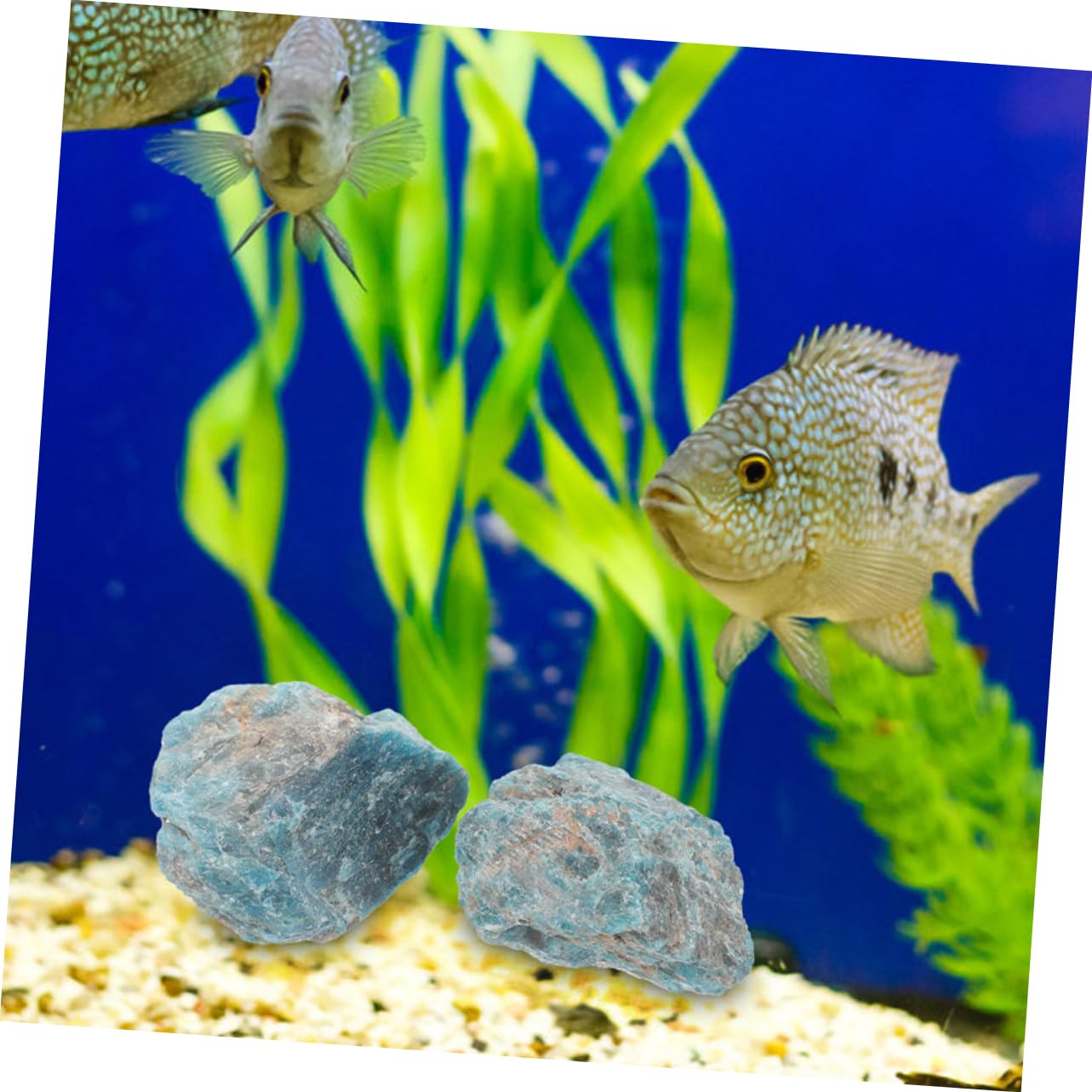SOLUSTRE 10stücke Natürliche Kristallsteine Für Dekoration Landschaftsstein Aquarium-zubehör Kleine Dekorative Steine Für Garten Und Innenräume Kreative Projekte Und Landschaftsbau