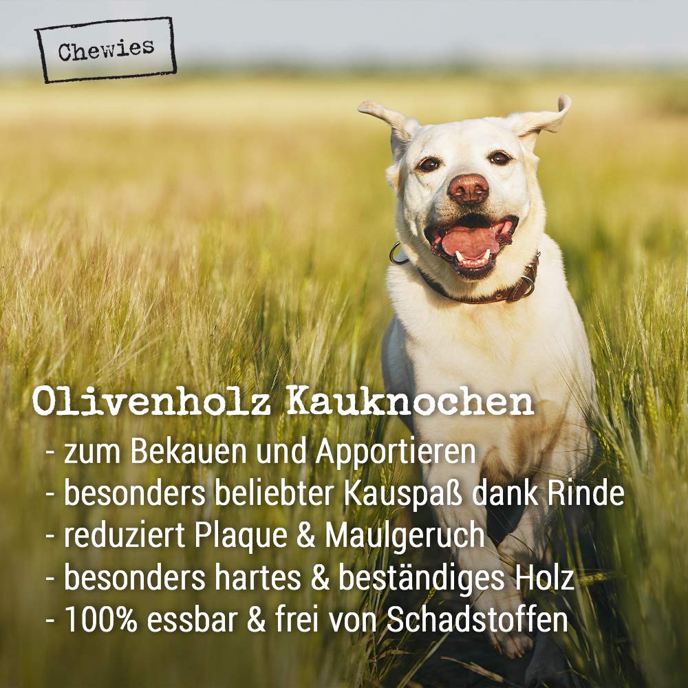 Chewies Kości do żucia zabawka dla psów z drewna oliwkowego - 100% naturalne akcesoria dla psów, niskie ryzyko i trwałe, rozmiar L: dla psów do 30 kg wagi ciała