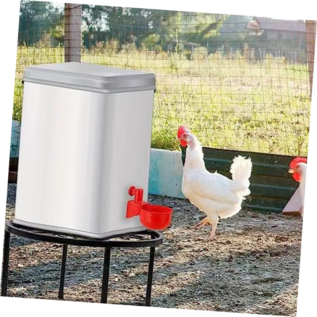 YARNOW 2Pcs Metal Chicken Water Feeder Holder Iron Feeder Stand for Coop Rack for Various Bucket Easy to Assemble Chicken Coop Accessories for Feeding and Watering
