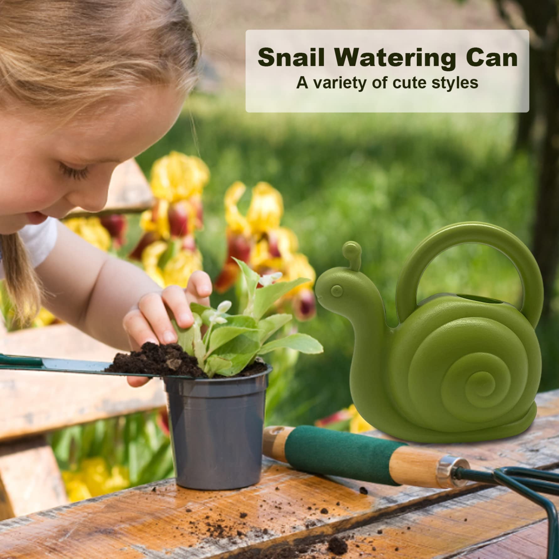 Plante D'Extérieur Mini Plantes Petites Plantes Succulentes En Direct