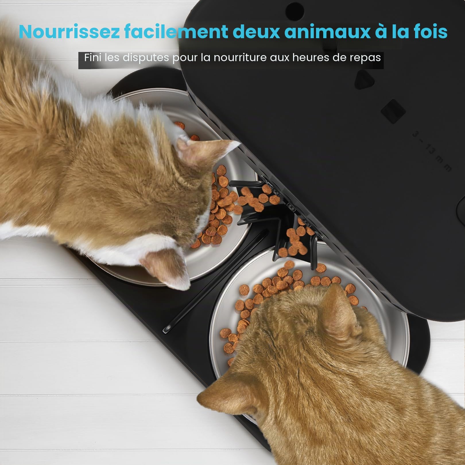 Sailvono5L Distributeur Automatique de Nourriture pour Chat avec 2 Bols en Acier Inoxydable et enregistreur Vocal Noir