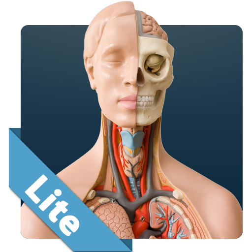 ANATOMY GAME ANATOMICUS LITEAmazon.caAppstore for Android
