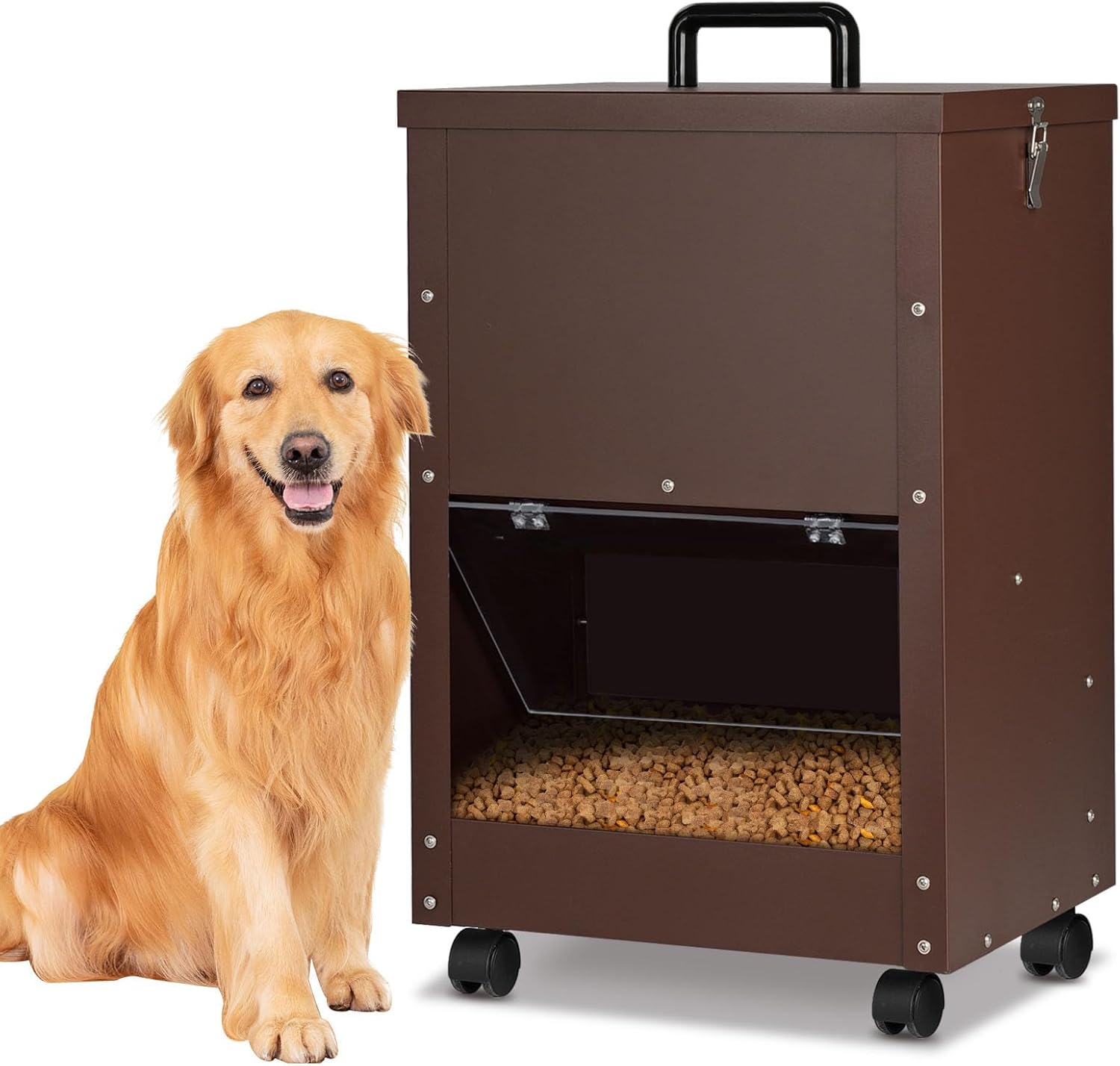 Galvanized Automatic Dog Feeder Large Breed 45 Zimbabwe Ubuy