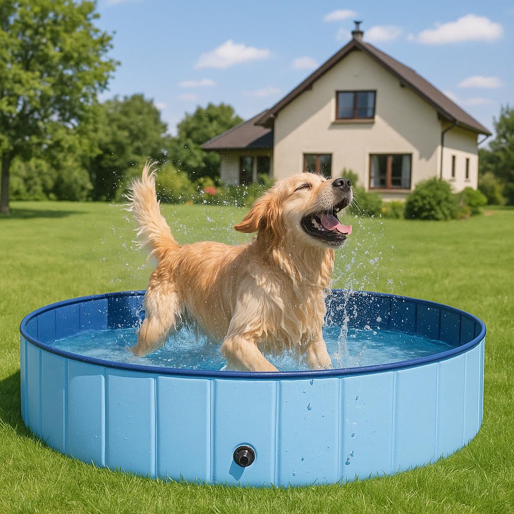 Hundepool faltbar – Robustes Planschbecken Pool für Hunde & Katzen, rutschfest mit Ablassventil, tragbar & in verschiedenen Größen erhältlich. (100 x 30 cm)
