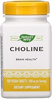 ネイチャーウェイ コリン 500mg 100粒入 (1本) [並行輸入品]