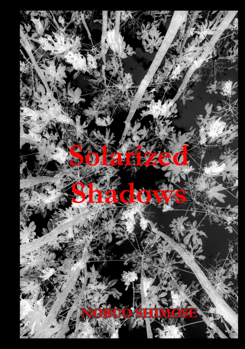 Solarized Shadows photographie argentique noir et blanc livre d'art
