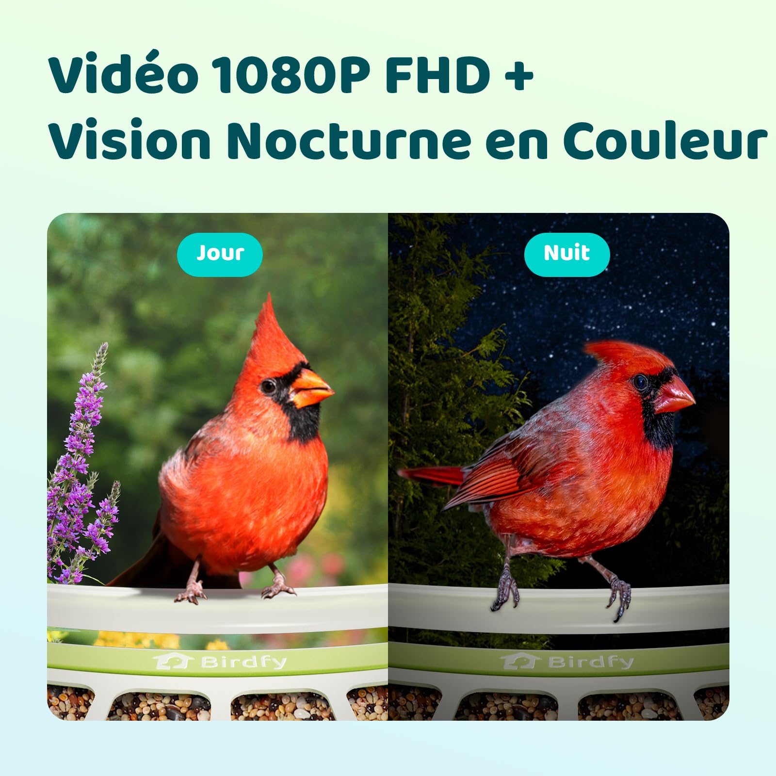 Birdfy Métal Mangeoire Oiseaux Camera pour L’Observation direct, 1080P Solaire Mangeoire Oiseaux Exterieur sans Fil, Vision Nocturne en Couleur, Notification Instantanée, Enregistrement à Chaque Visit