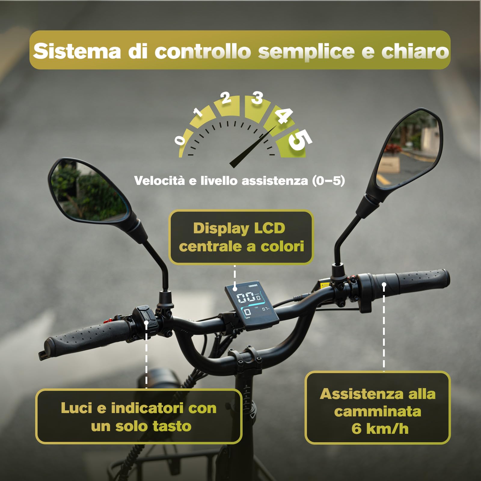 Fafrees Triciclo Elettrico F20 MATE II, Bici da 250 W con 3 Ruote da 20"*2,5", Batteria da 25Ah 1200Wh, Cestino + Portapacchi, Triciclo Elettrico da Carico per Adulti e Anziani