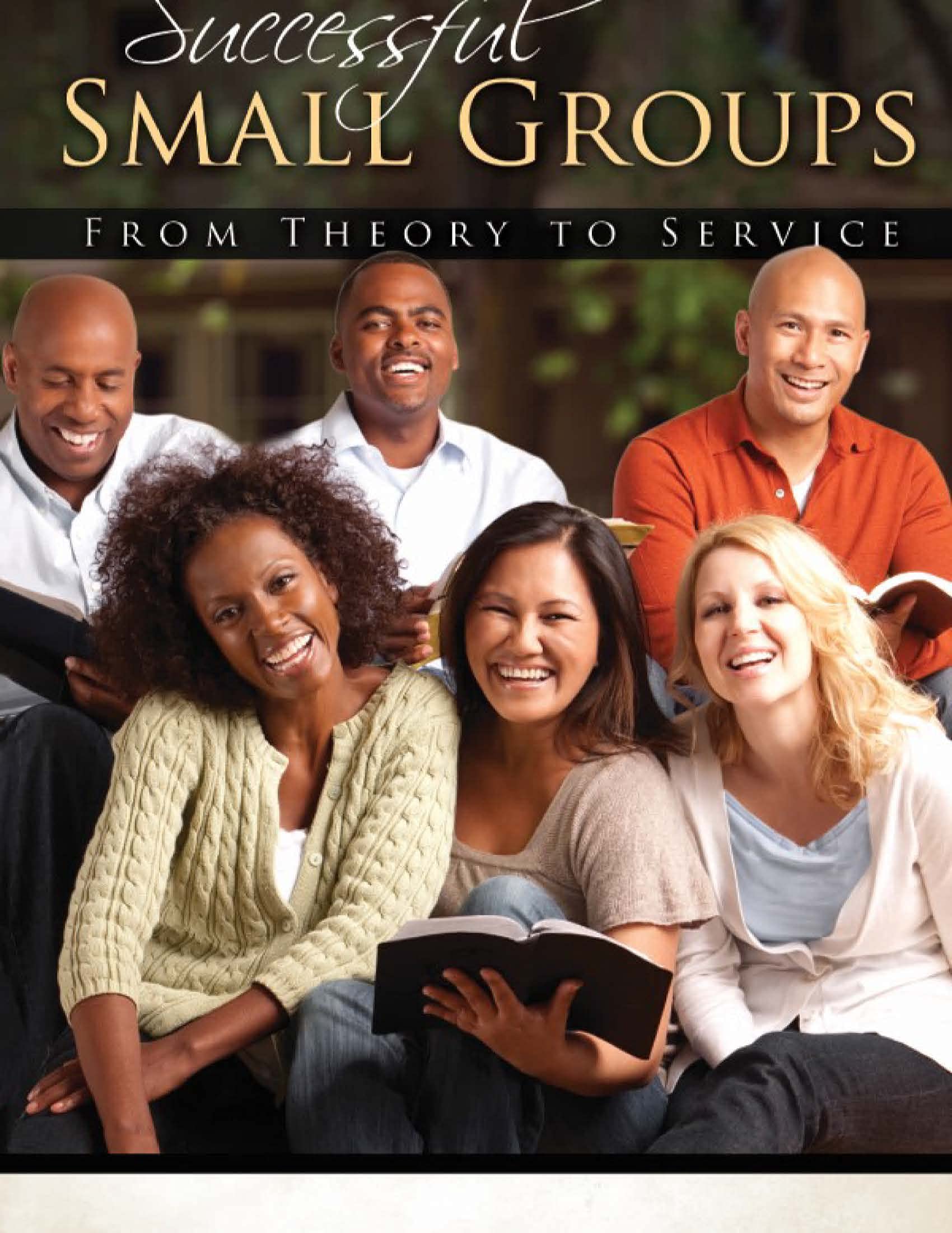 Buy Successful Small Groups: From Theory to Reality — BookShops.in