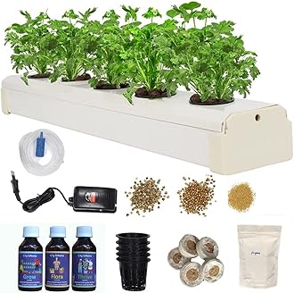 Hydroponic Kit for Home Garden - Beginners 5 Planter Deep Water Culture (DWC) System - Grow Any Indian Or Exotic Leafy's, Perfect at Home Kit for Hydroponic Gardening.