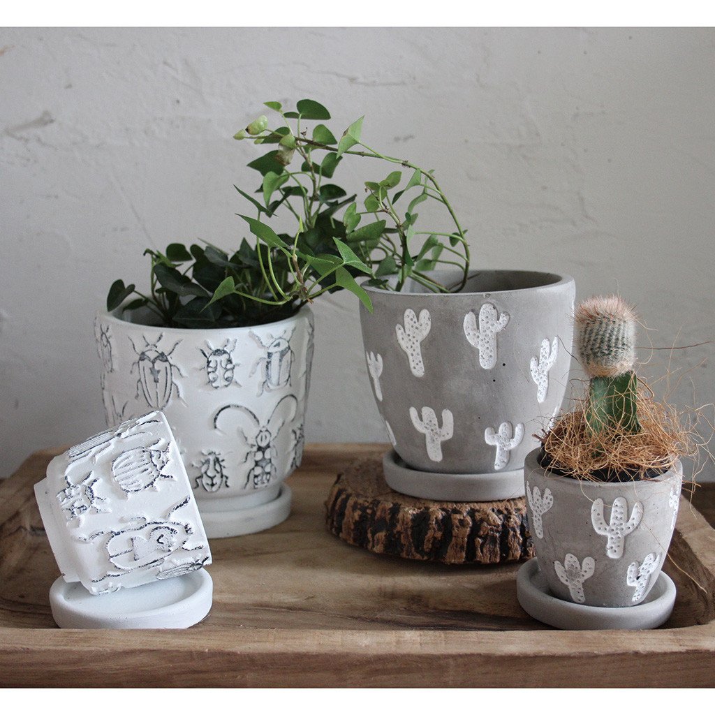 ScarFace様 鉢ごと Amazon.co.jp: SPICE OF LIFE(スパイス) 植木鉢 レリーフ