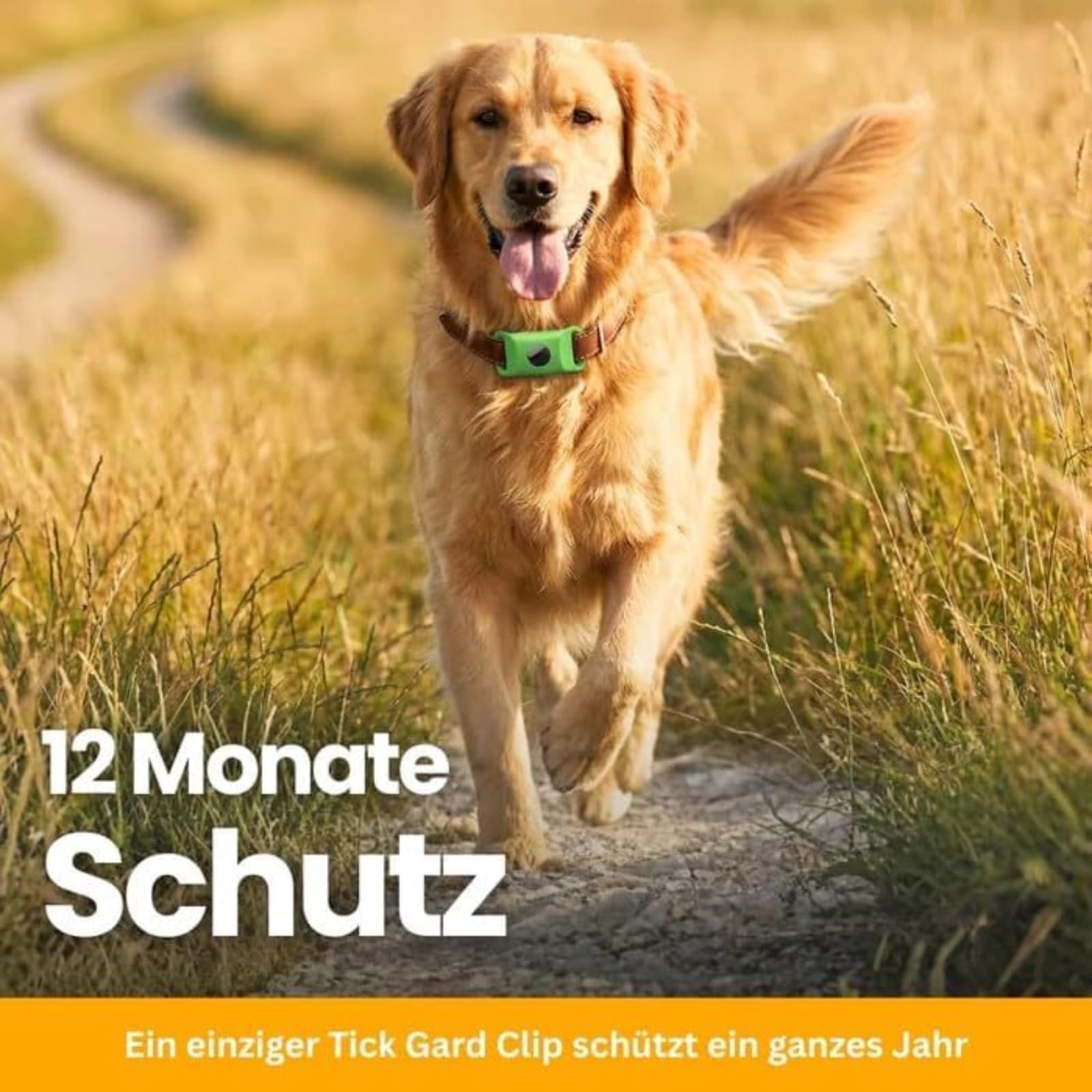 Fell-Freund TickGuard Clip – Gegen Zecken Und Flöhe, Repellent-Hänger, 100% Natürliche Inhaltsstoffe (Schwarz,2 Stück)