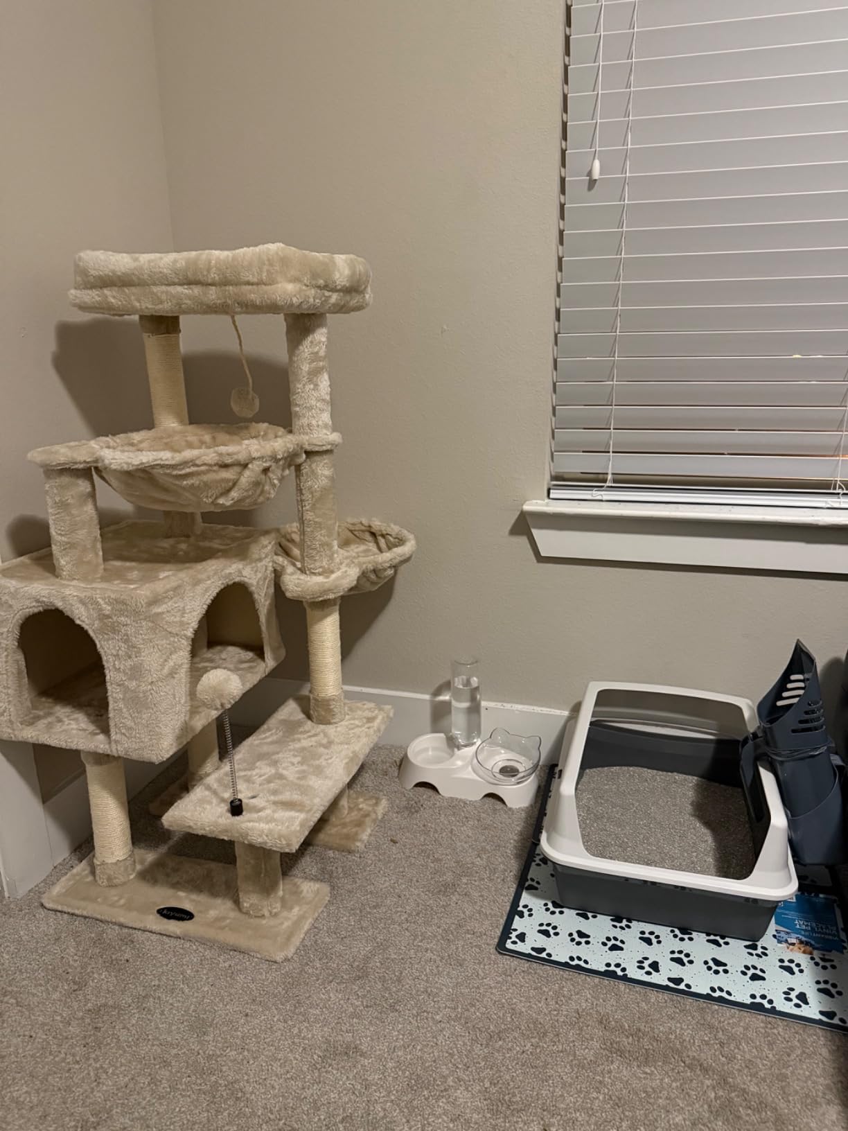 Fresh Step Clumping Cat Litter, Multi-Cat, Long Lasting Odor Control Kitty Litter with Activated Charcoal, Low Dust Formula, 14 lb photo review