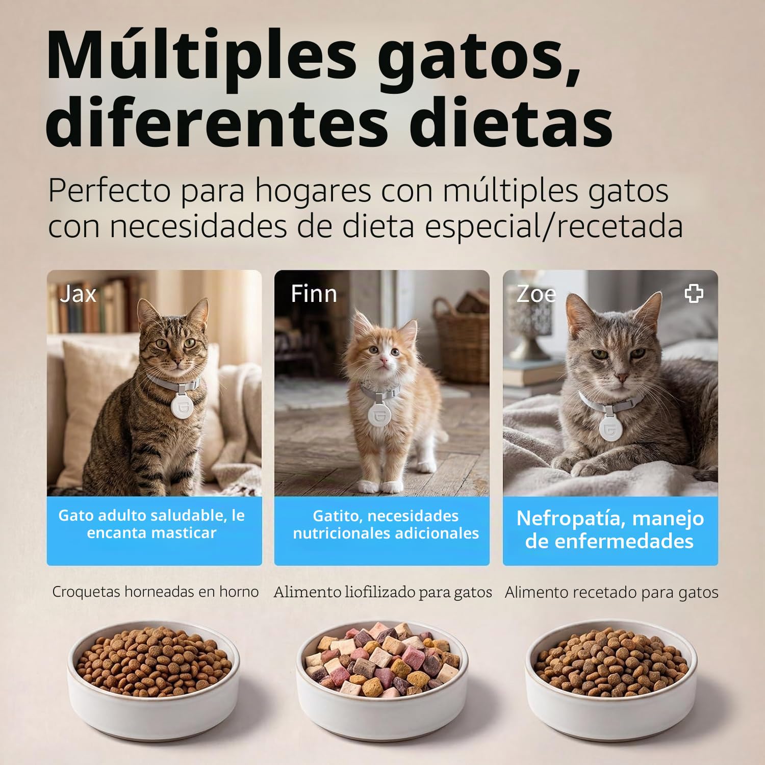 HoneyGuaridan RFID Comedero Automático para Gato, Comidas Activadas Mediante RFID, 5G WiFi Dispensador de Comida Gatos, Ideal para Hogares con Varias Gatos y Diferentes Regímenes Alimenticios