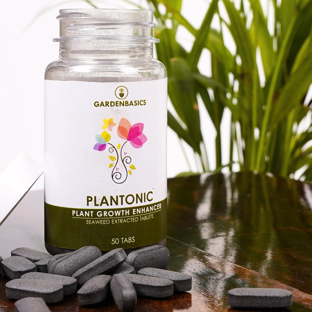 GARDENBASICS Plant Growth Plantonic Tablets | Plant Growth Enhancer Supplement For All Plants | Growth Booster For Pot Plants | Flowering Booster | Easy To Use | Seaweed Tablet