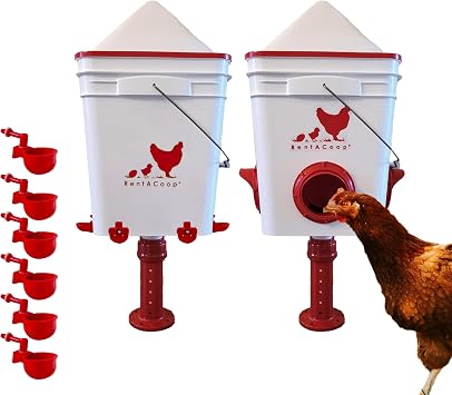 RentACoop Chicken 25lb No-Waste Feeder & 5 Gallon Automatic Waterer Set