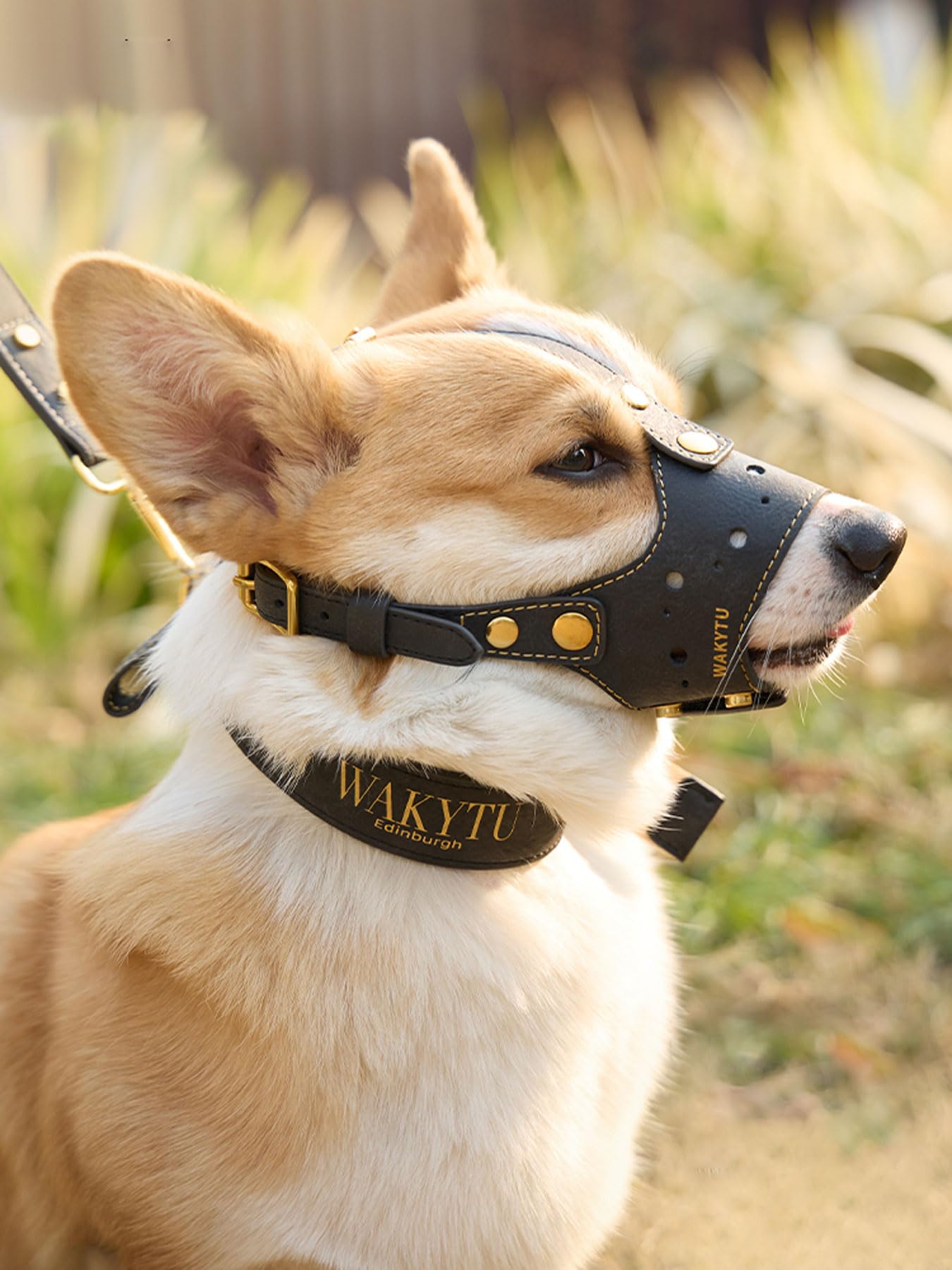 Bozal para Perro,diseño cómodo de Ajuste de Cuero,Cubierta bucal Ajustable para Perros pequeños y medianos,Evita morder,ladrar y Masticar (S,M,L)