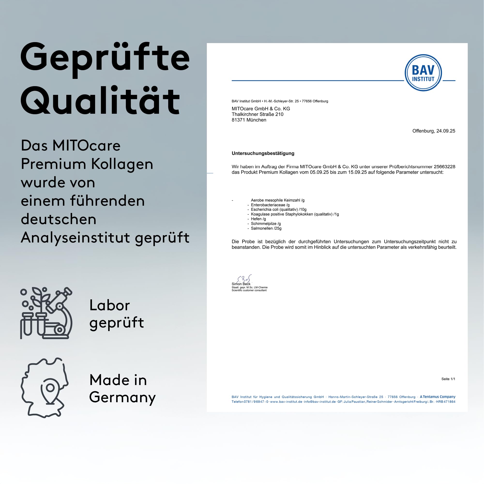 MITOcare Premium Kollagen Pulver - Das Nahrungsergänzungsmittel kann das Bindegewebe stärken und straffen - Proteine unterstützen den Muskelaufbau - Praktisches Vorratspack ausreichend für 50 Tage