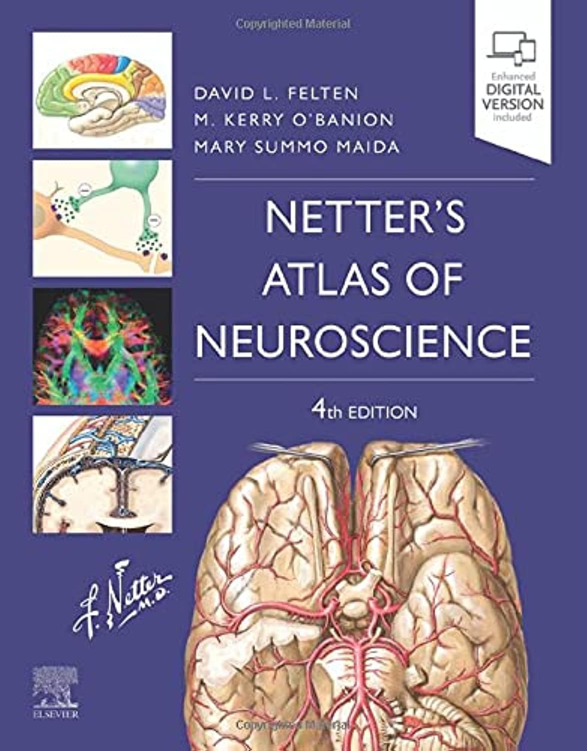 Netter's Atlas of Neuroscience
